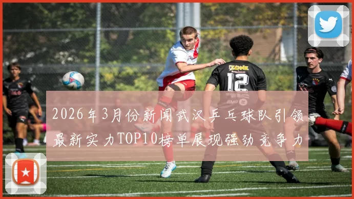 2026年3月份新闻武汉乒乓球队引领最新实力TOP10榜单展现强劲竞争力