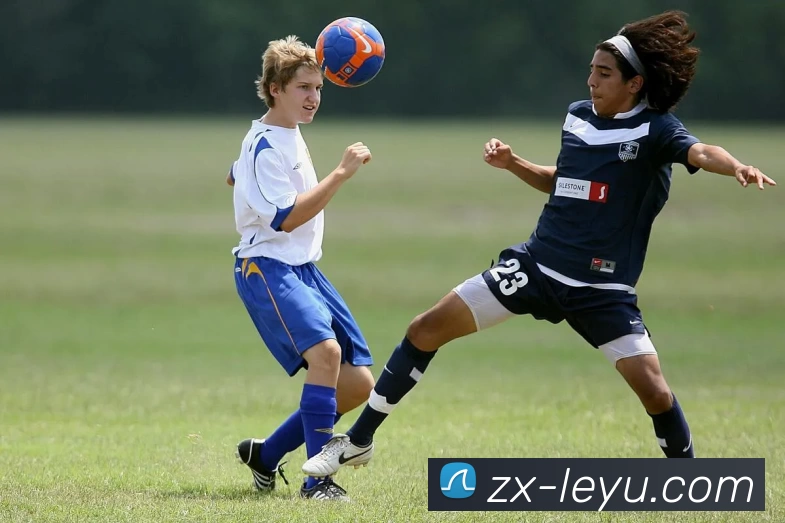 App Interface Preview